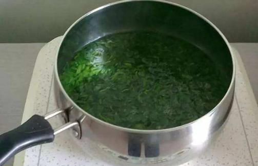 拿艾叶煮水洗头,有以下“神奇”功效,很多人当垃圾扔了