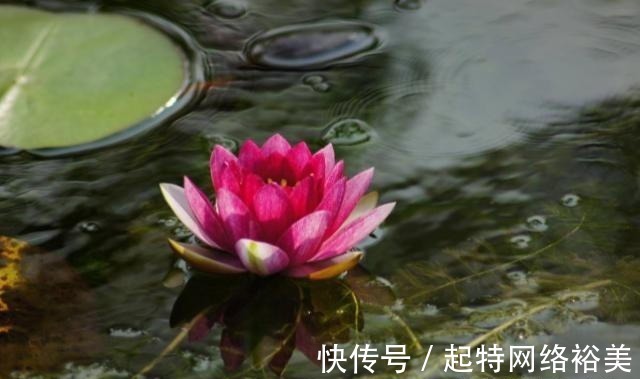 福运$老祖宗:积“阴德”的3件事,常做福运不请自来,你做了几件?