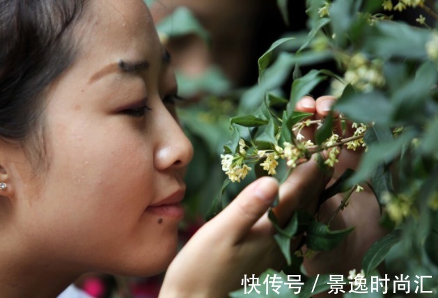 院中有五树,子孙一直富,五树分别是什么树?有何寓意