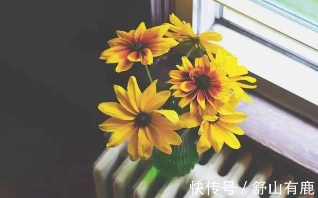 自傲!人老了,对以下4件事越看越“通透”,晚年不会差到哪里去