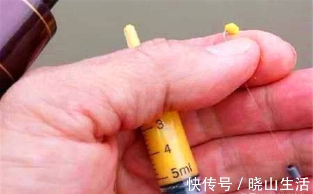 酒米|春钓大板鲫,民间这两种钓法最优秀,钓大鲫鱼更容易