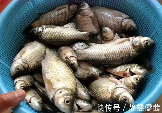 野钓千万别着急下竿,先做好这几个步骤,才能保证渔获告别空军