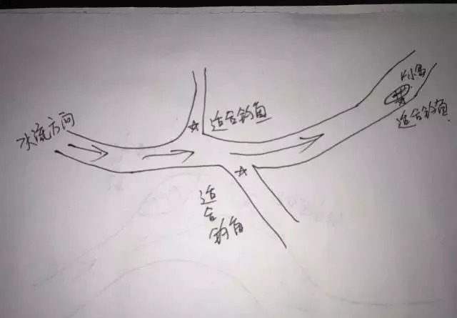 不知道鱼儿藏在哪儿？我帮你画了5张图，随便挑一个就能爆护