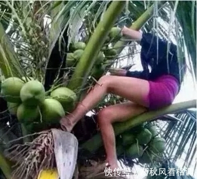 做好|主人,到明年的蛋炒饭我都给你做好了,要打包吗?