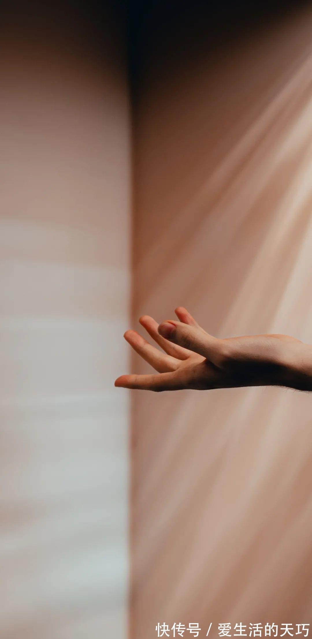 花解语|2172手机壁纸|温柔扑了个空才长记性