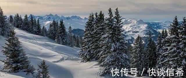 以战养战|这三个星座,才是真正的强者,不是不会哭,而是受伤也要继续奔跑