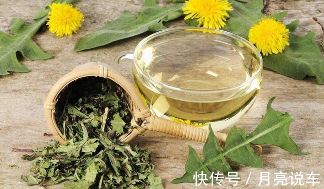 蒲公英提取物|中药又立功?蒲公英两天内就能杀死98%癌细胞、消结节?揭开真相