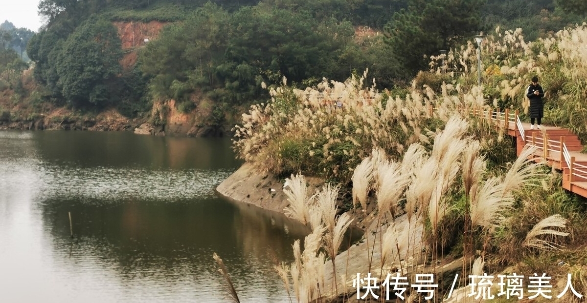 岁月静好&两首荻花秋诗词,一首静好,一首情深,你喜欢哪一首