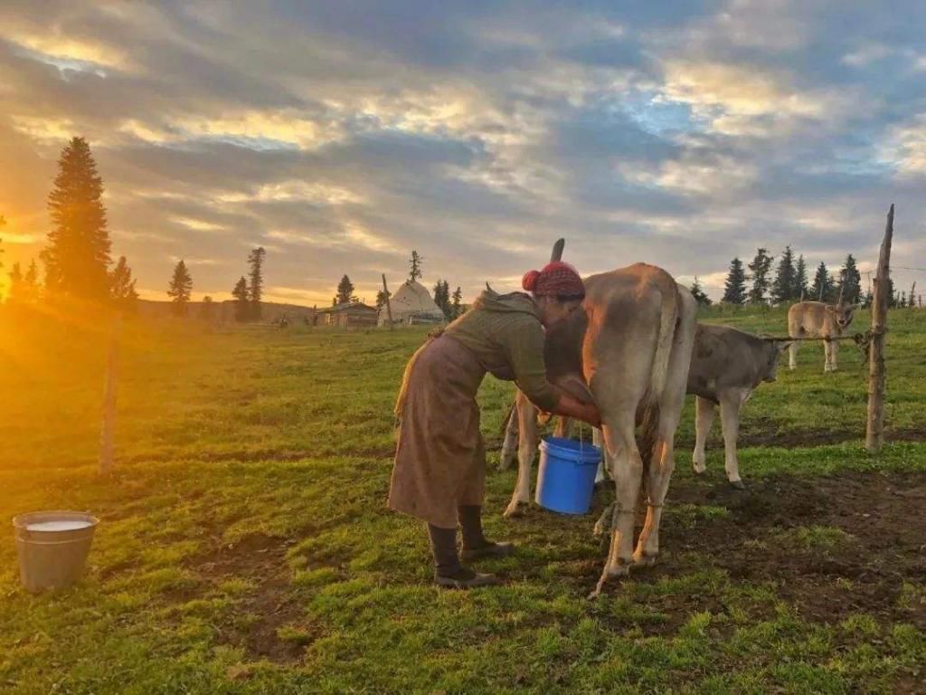 每天喝一杯牛奶有什么好处吗选择什么样的牛奶更有利于健康