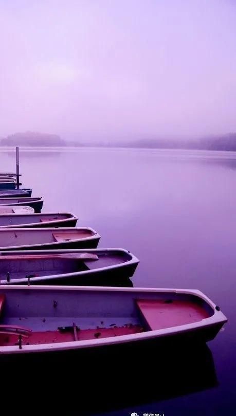 紫色是一|象征着灵性的紫色为什么是顶轮的颜色fashion色彩心理