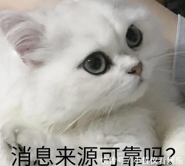 毛戈平超厉害的眼型矫正术，实用