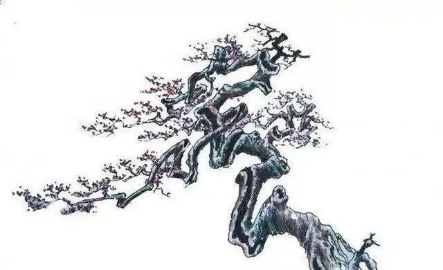 韵味|值得收藏的盆景设计图,别有韵味