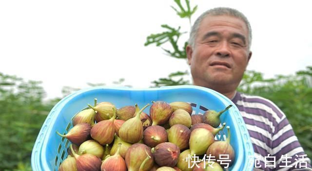 日常生活中|乳腺结节的根源找到了,牢记2吃、2不吃,将结节“扫地出门”