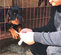 |搞笑GIF：就叫卖了，还帮着数钱