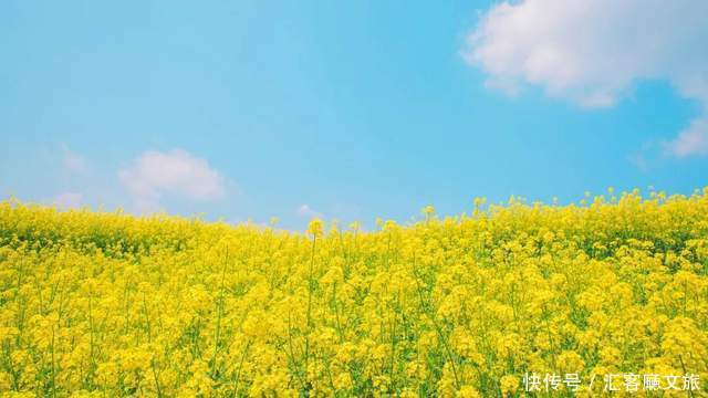 老年|如果一生只去一次新疆,这些地方你一定要知道