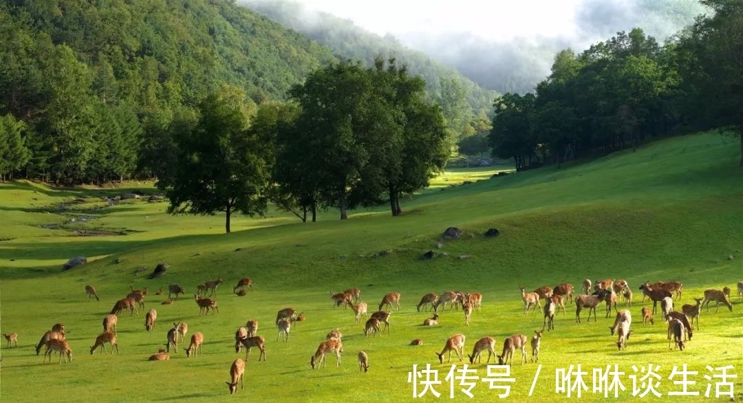 水资源|黑龙江一城市，景色宜人景点众多，被誉为祖国林都，人气小游客少