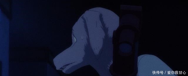 《BEASTARS》第二季开播！当狼爱上兔子的时候，鹿死谁手