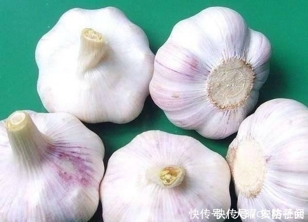 大葱|告诉家人,大蒜不能与此物一起吃,不然肠胃要遭罪,了解下吧