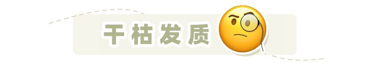 头皮 油头、脱发、有头屑怎么选洗发水？看完这篇就知道了