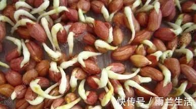 菜市场|4种蔬菜发芽后,不仅没毒,营养还翻倍,可以放心吃