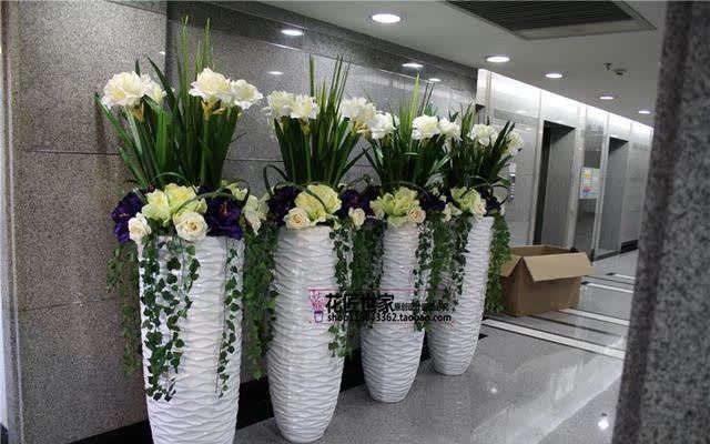 君子兰害怕五件事,新手经常犯,做不好,难怪越养越糟糕