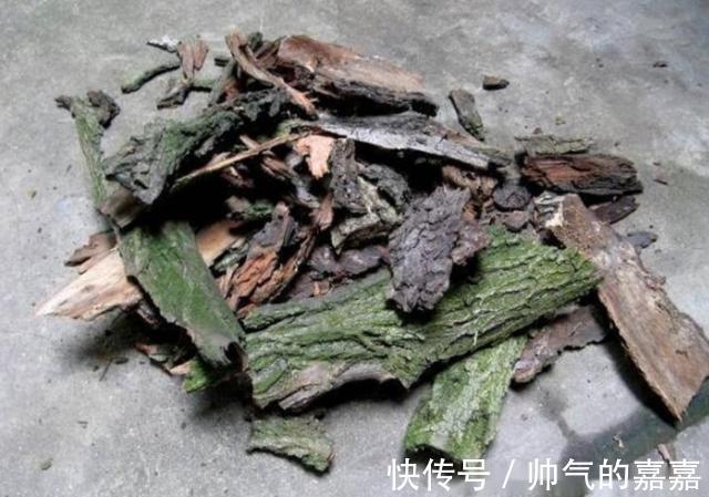 给花卉换盆,多做1个“小动作”,避免出现烂根黄叶