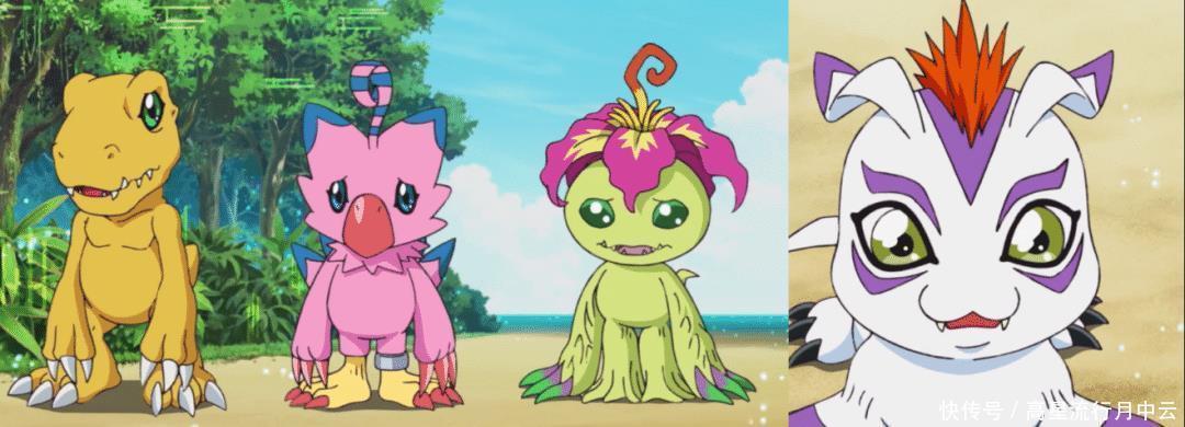 数码兽|新数码宝贝可爱的哥玛兽登场,阿丈拒绝帮助太一!