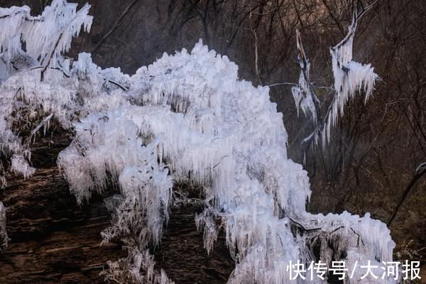 组图|云台山冰挂景观初现，先睹为快 | 冰挂