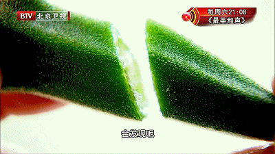 搭配|7月宁可不吃肉，也要吃秋葵！搭配“血管清道夫”，增强免疫力