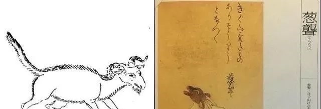 叶限#中日对比:中国《山海经》与日本《山海经》哪里不同?