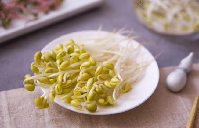 别再买豆芽了！有豆子就能发，3天就发好，无化肥更健康，超简单