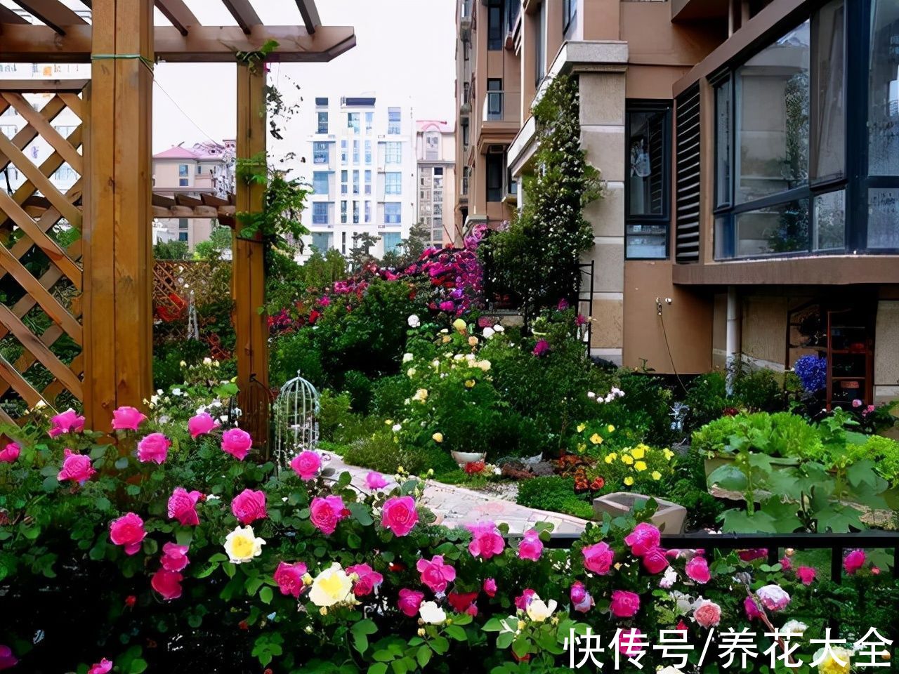 高空抛物|新楼盘开盘，一楼的小院和顶楼的天台，让我这养花人犯了难