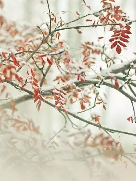 万俟咏|十首《长相思》, 诉尽心中未了情