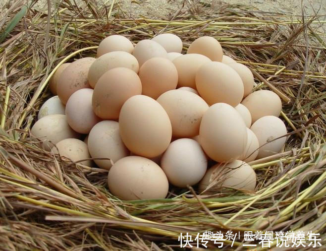 食用|鸡蛋配一宝，一起食用，记忆力变好了，视力好了，大人小孩都爱吃