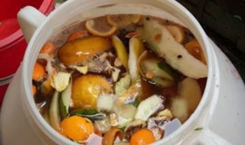 养花自制肥料：该怎么用好柳树皮，挖掘其中的价值？