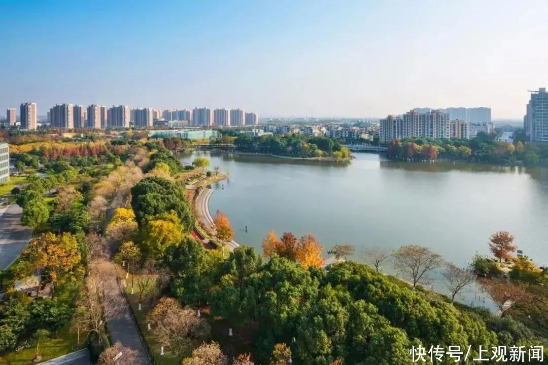  座城市|是自然的声籁，也是艺术的回响，它们在青浦悄悄发着光