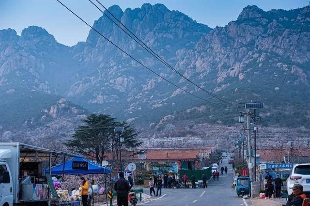 杏花|背靠五莲山！久负赏花盛名，今日一见确实惊叹