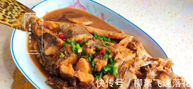 桂鱼|它是淡水鱼中的“极品”,四季都便宜,刺少肉嫩,孩子多吃长身体!