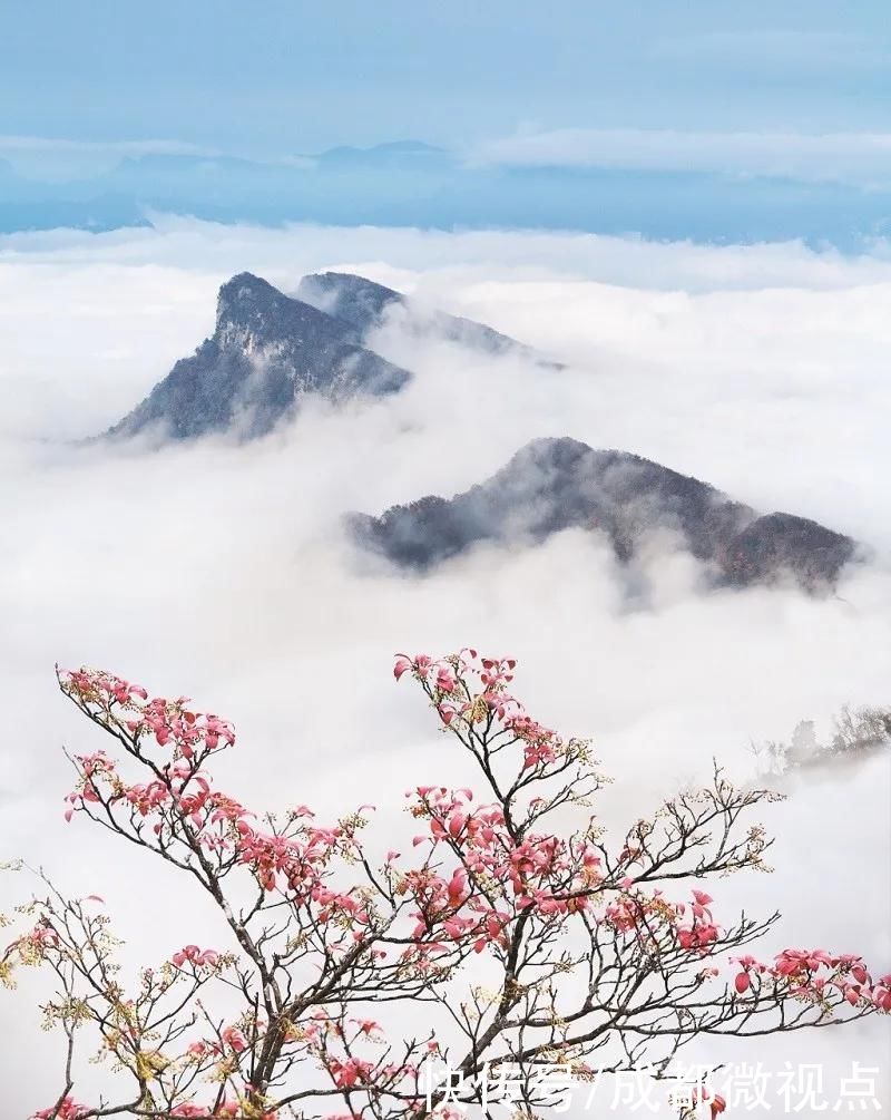 光雾山旅游景区，拟升5A级|喜报 | 景区