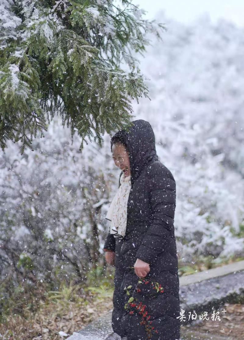 回归|气温回升雾凇渐化 冬日暖阳回归