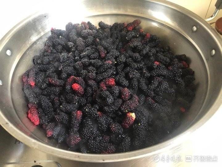 滋阴|壹粉食堂｜超级简易版的桑葚膏，滋阴补肾熬夜良方，看一眼就会