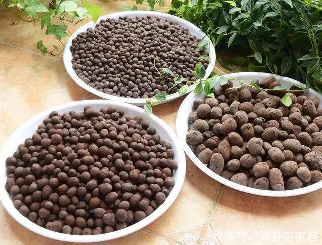 花都|牛人养花，常用这4种小东西，养花土里掺一点，啥花都能养爆盆