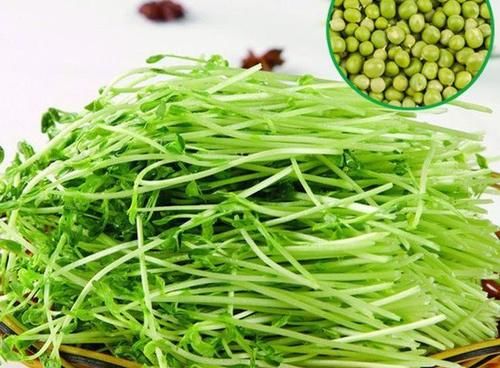 好食物|女性不想衰老，不妨多吃的好食物，清理血液毒素，肌肤细腻更红润