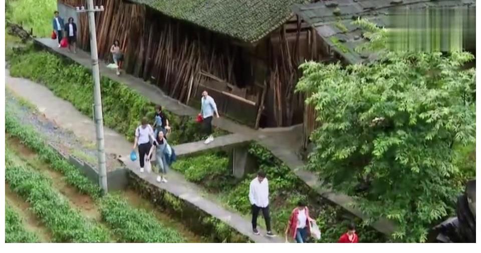 开心|《向往3》孙莉来了,黄磊终于迎来向往的生活,开心到落泪