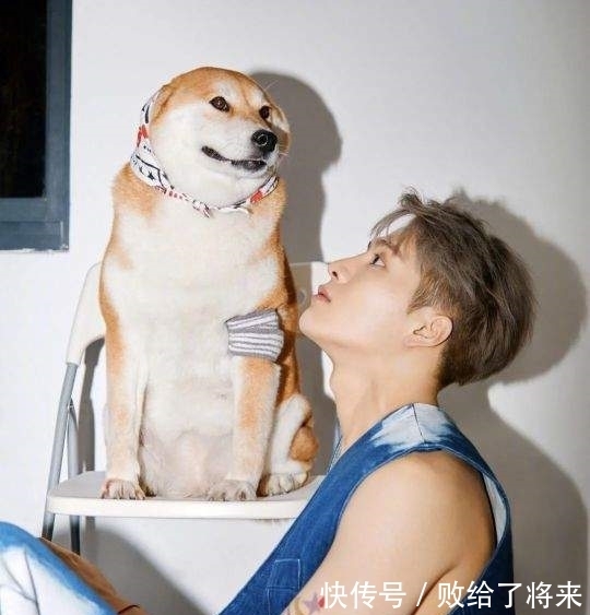 跑男|38度高温穿套袖，千方百计遮纹身，王嘉尔为录制“跑男”煞费苦心