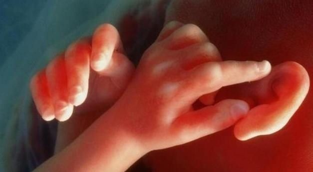 怀孕|怀孕后,若孕妈妈有3个“特殊”表现,说明孩子是个“聪明娃”