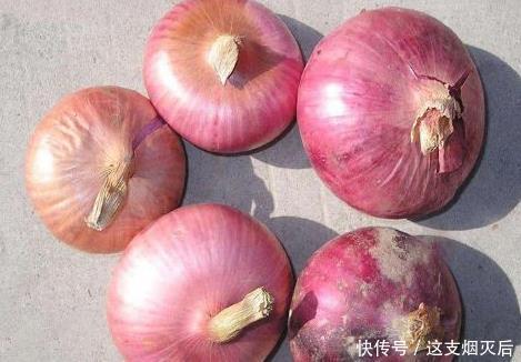 窍门|洋葱是厨房小食材,却可以轻松治疗失眠,如此好的窍门不可错过