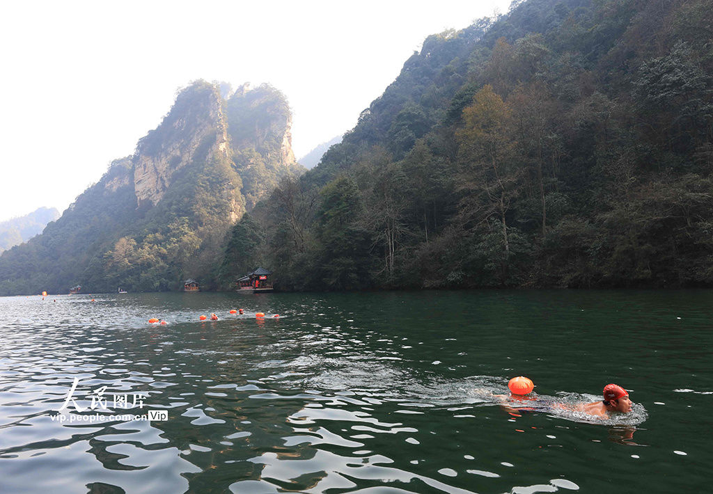 爱好者|湖南张家界：冬泳爱好者逐浪山水间