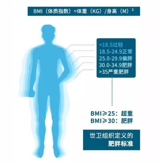 医声|【医声】体检查出脂肪肝？可能变癌，但也能逆转！关键方法在这里→