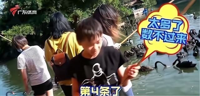 红姐|全红婵连续钓上9条鱼破纪录!红姐炫耀:厉害吗?周围人一顿吹捧